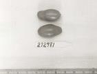 Click for 1 image(s) for this accession. FRUIT